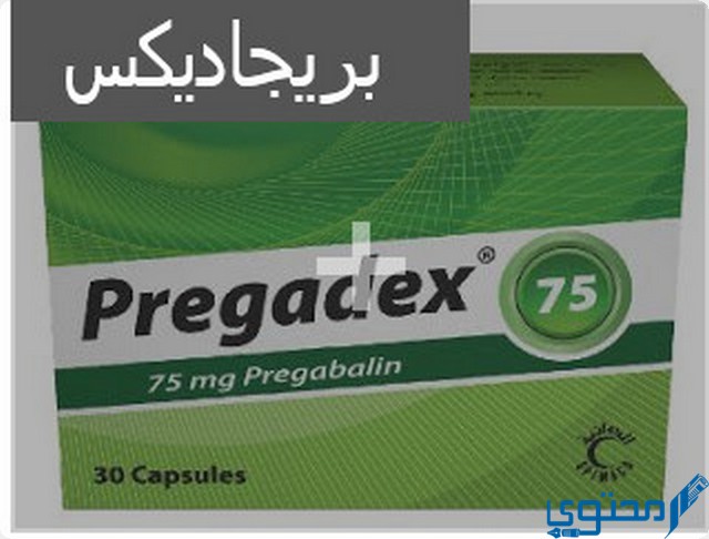 بريجاديكس