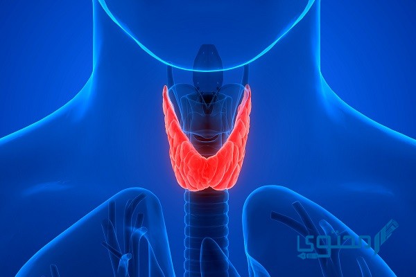 تجربتي مع خمول الغدة الدرقية وأسباب المرض وطرق علاجه
