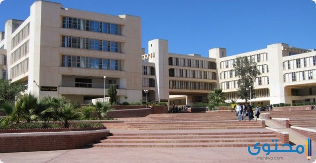 تخصصات الجامعة العربية