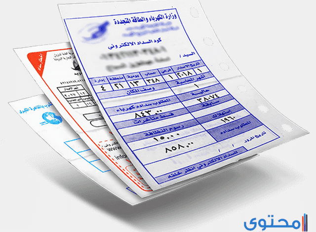 تسديد فاتورة الكهرباء عن طريق النت في مصر 2025