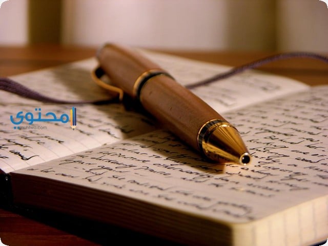 القلم في المنام