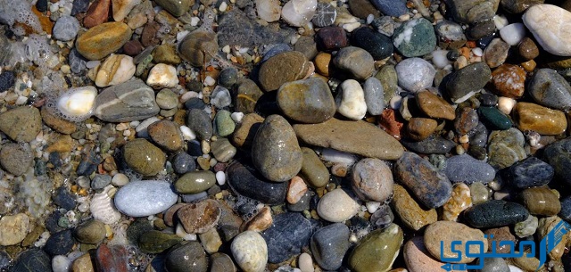 تشكل معظم الكهوف الجوفية بفعل الماء على الصخور.