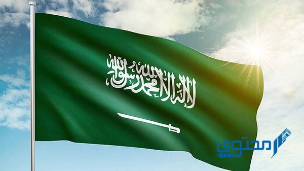 تعديلات نظام الأحوال المدنية بالسعودية 2025