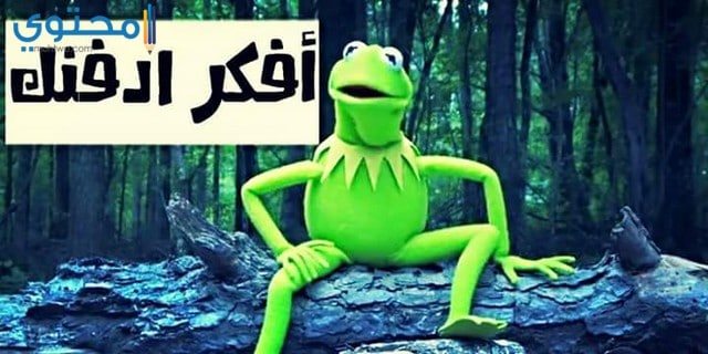 تعليقات فيس بوك جديدة