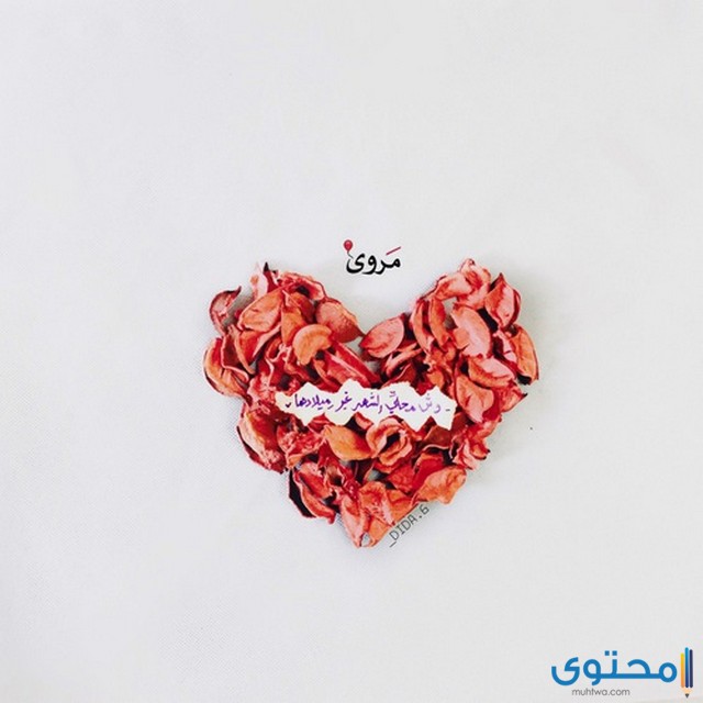 تهنئة عيد ميلاد باسم مروة