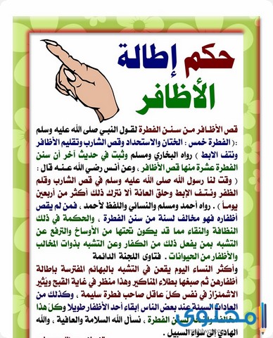 حكم قص الأظافر