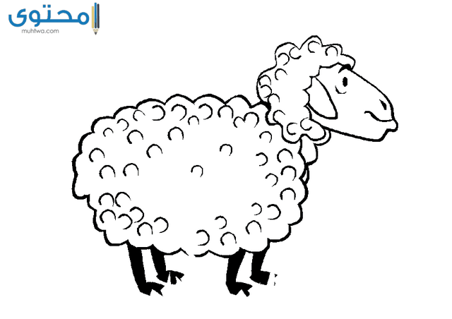 رسومات حيوانات للتلوين للاطفال Al Ilmu 12