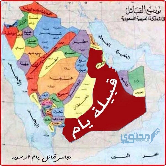 خريطة توزيع القبائل في الجزيرة العربية - موقع محتوى