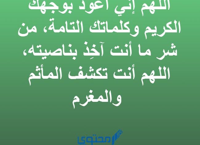 افضل 30 دعاء التحصين اليومي والحفظ من العين