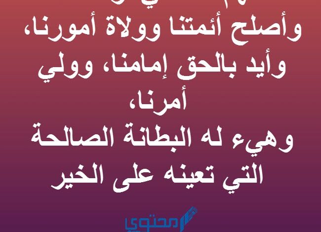 افضل 20 دعاء عن الأمن والسلامة لبلادنا مصر الحبيبة