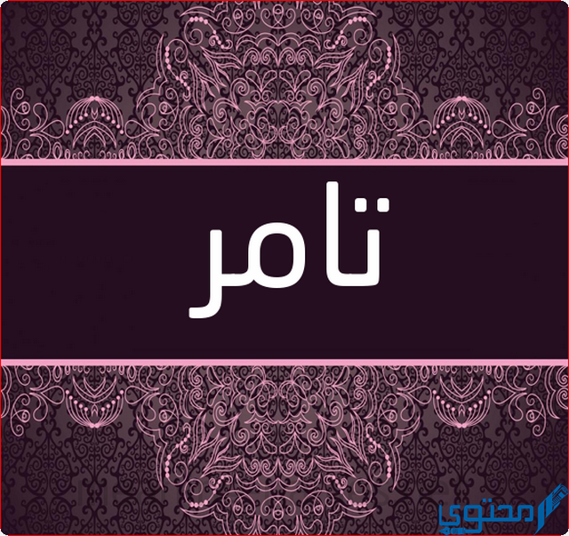 دلع اسم تامر