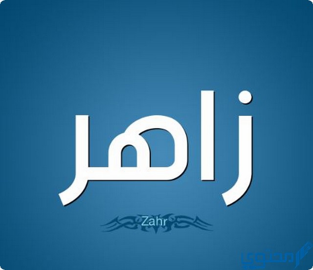 دلع اسم زاهر