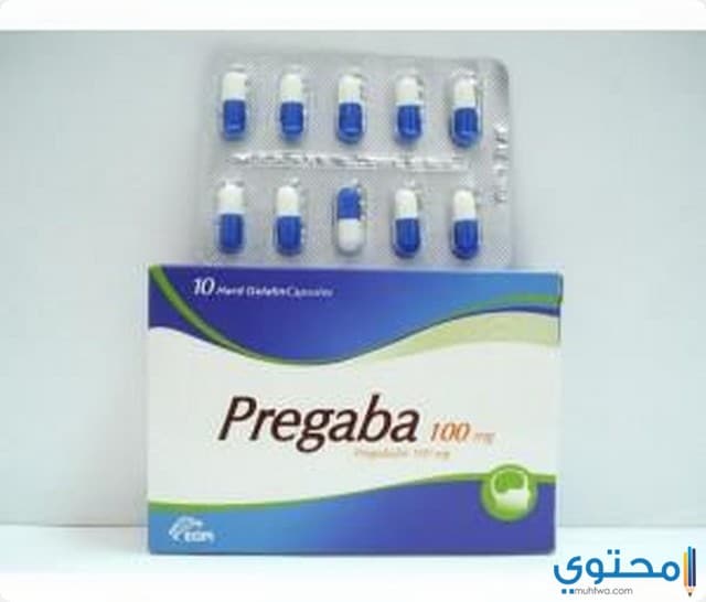بريجابا