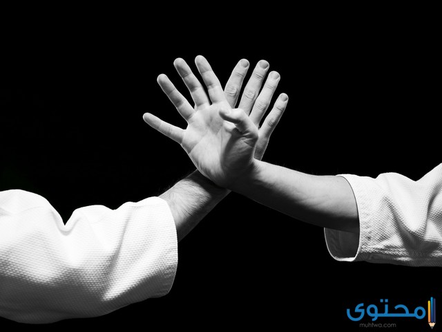 رؤية الدفاع عن النفس