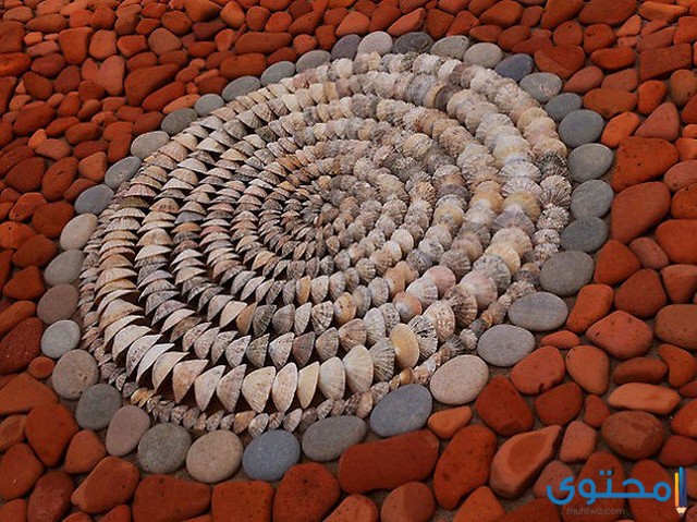 رؤية الزلط في الحلم