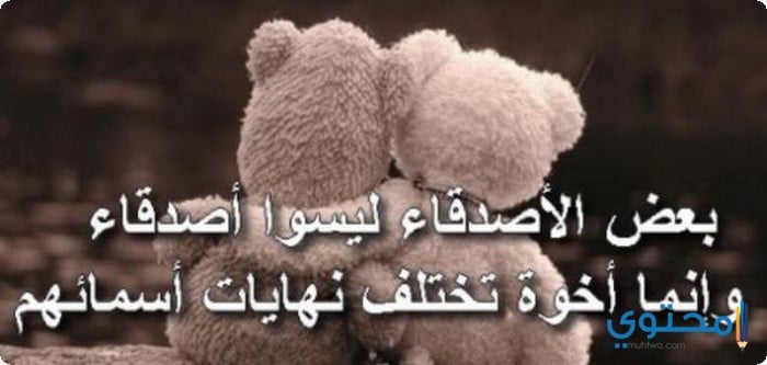 رسائل صداقة مميزة