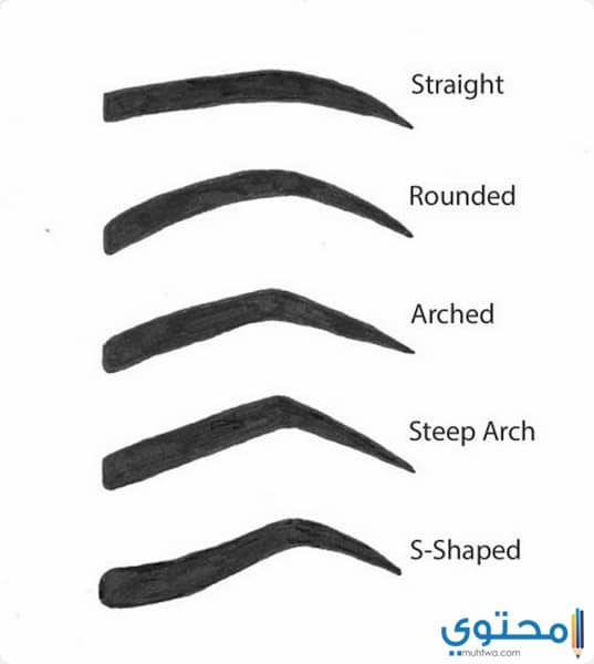 طرق رسم الحواجب بالصور للمتبدئين