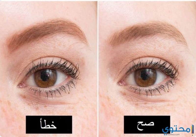 طرق رسم الحواجب بالصور للمتبدئين