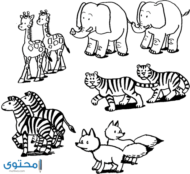 صور رسم حيوانات للأطفال 2021 رسومات حيوانات ملونة موقع محتوى