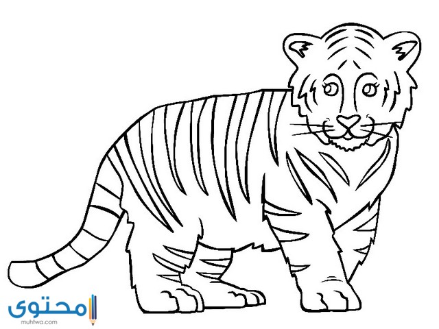 صور رسم حيوانات للأطفال 2021 رسومات حيوانات ملونة موقع محتوى