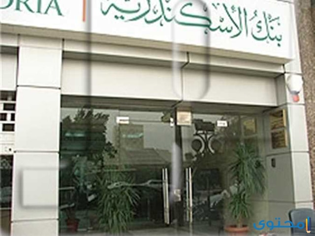 رقم خدمة عملاء بنك اسكندرية