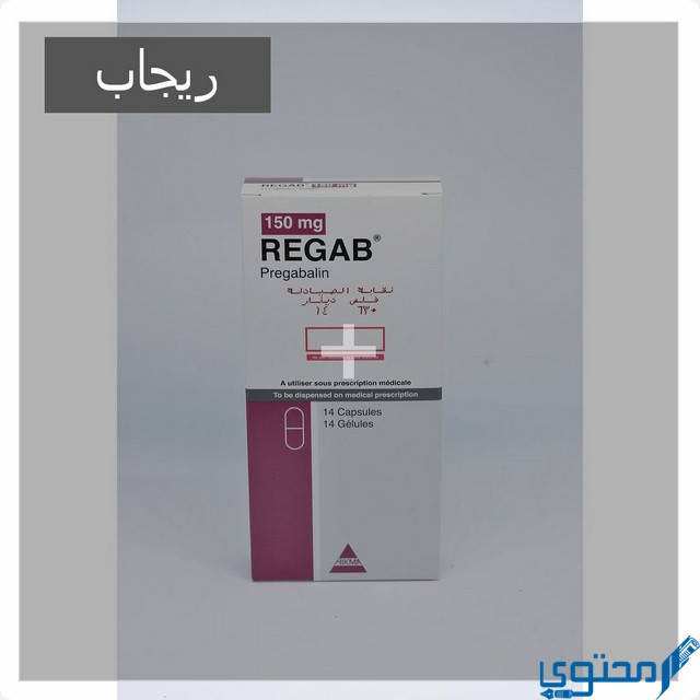 ريجاب
