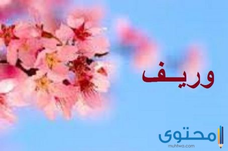 معنى اسم وريف وصفاته