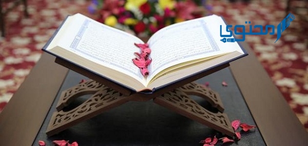 سور قرآنية قصيرة