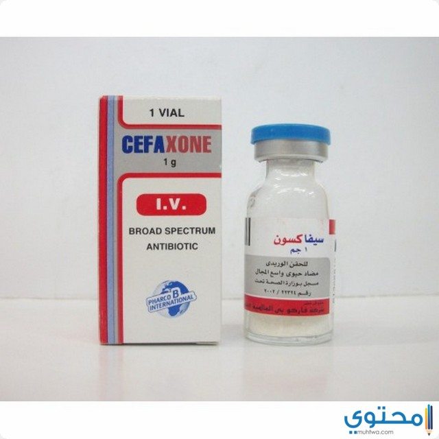سيفاكسون