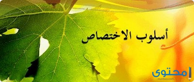 شرح درس أسلوب الاختصاص