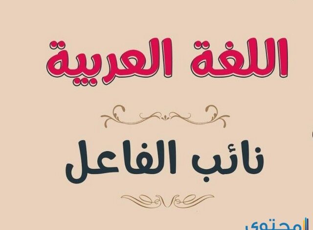 شرح درس نائب الفاعل بالأمثلة