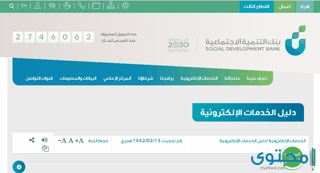 شروط قرض بنك التنمية الاجتماعية للنساء