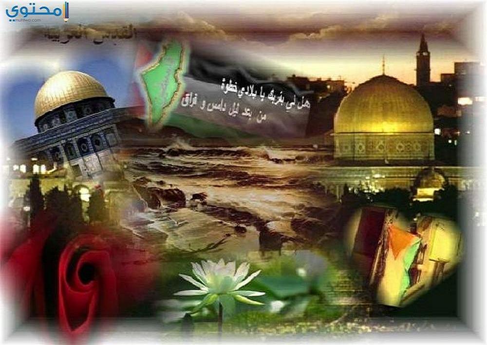 صور القدس لنا