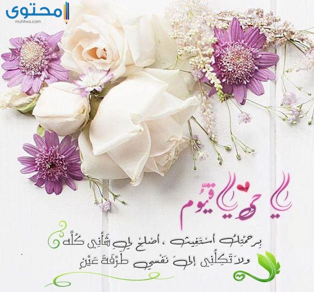 صور بوستات واتس اب