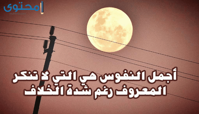 بوستات مصورة للفيس