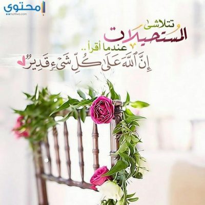 صور فيس بوك جديدة 2023