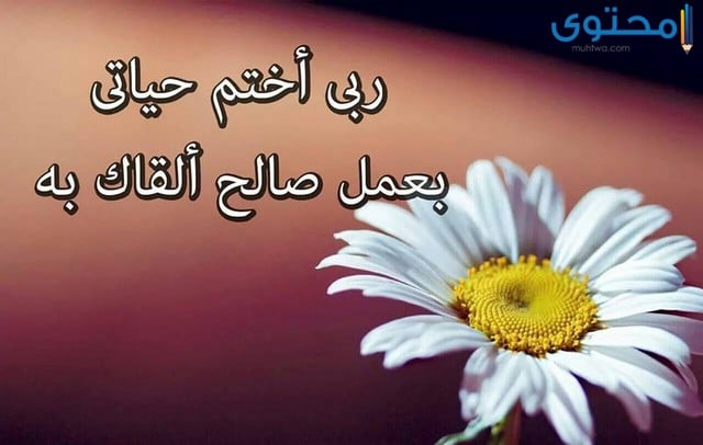 صور اسلاميه للفيس