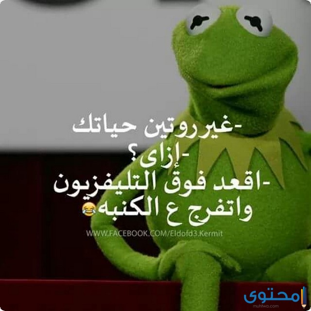 صور مضحكة