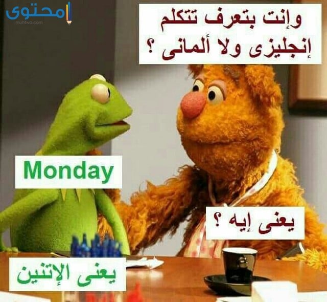 خلفيات مضحكة للواتس