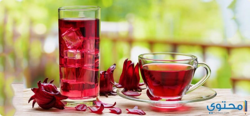 اهم 10 فوائد شرب عصير الكركديه في رمضان 2023