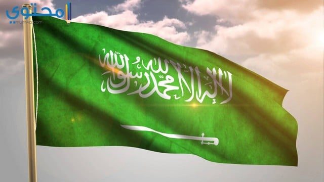 رمزيات علم السعودية 