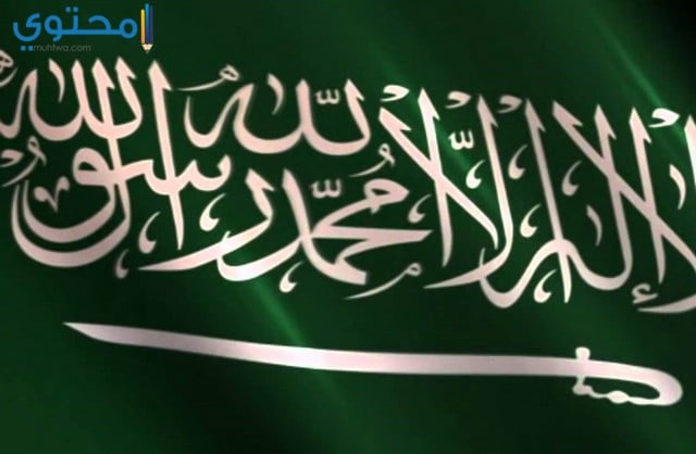 علم السعودية الجديد