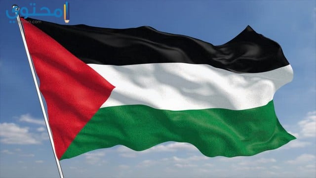 أجمل صور علم فلسطين 2021 خلفيات العلم الفلسطيني موقع محتوى