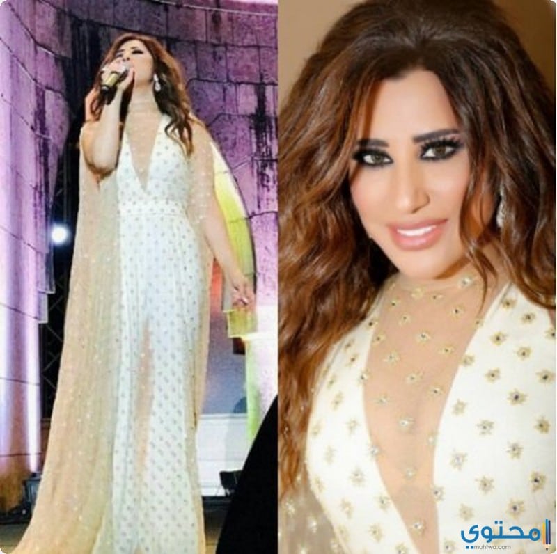 أزياء الفنانة نجوى كرم 