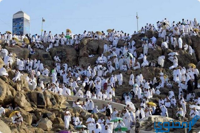 فضل صيام يوم عرفة الدرر السنية