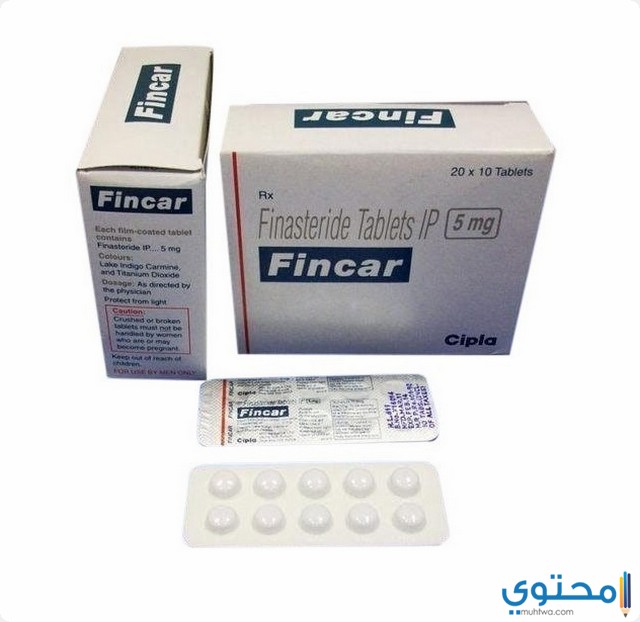 فينكار