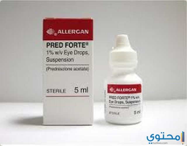 بريد فورت