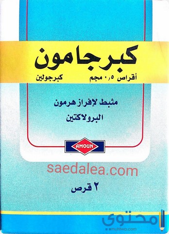 كبرجامون