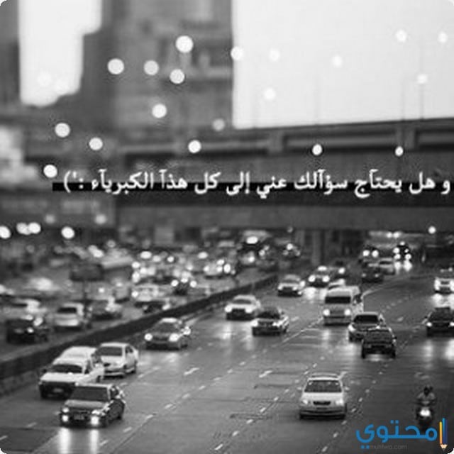 اقوال شموخ وكبرياء