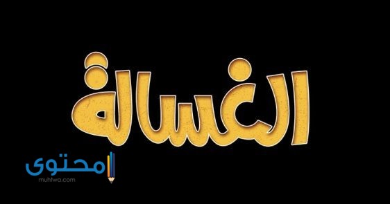 كلمات أغنية الغسالة وبعض المعلومات عنها